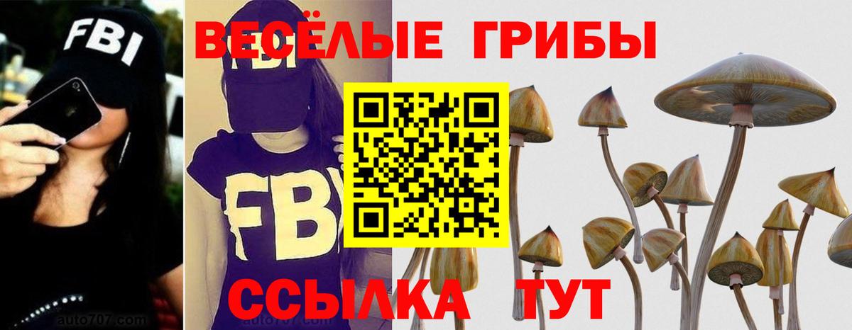 Галлюциногенные грибы Psilocybine cubensis Артёмовский
