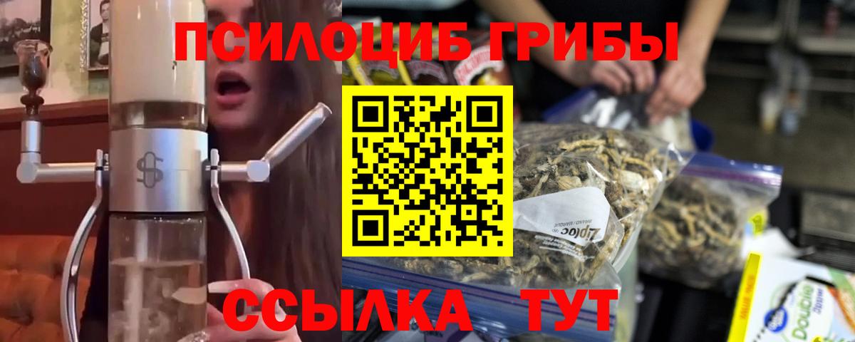 купить наркоту  Псилоцибиновые грибы ЛСД  Галлюциногенные грибы MAGIC MUSHROOMS  Вход с VPN  Артёмовский 